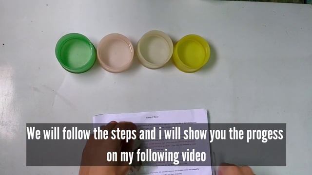 Adenium Seed from Shopee | Step by Step of Germinating Adenium Seed Part 1 | Desert Rose Seeds смотреть онлайн