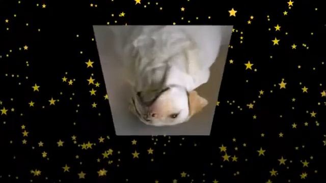 "Последний ангел на земле" смотреть онлайн