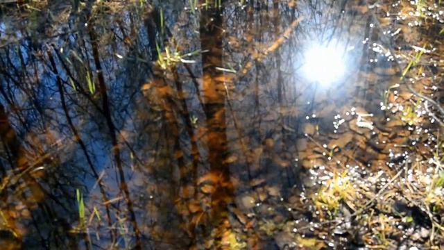 Фотоэксперимент 5. Светофильтры. смотреть онлайн