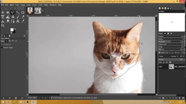 GIMP TUTORIAL - Lasso Tool (2/10) смотреть онлайн
