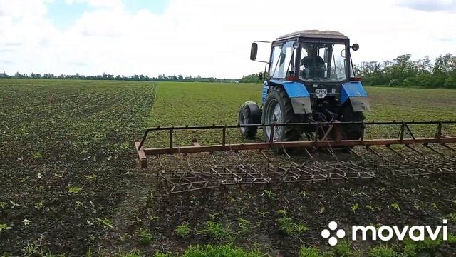 Боронование по всходах подсолнечника "Алькантара" смотреть онлайн