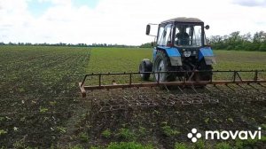 Боронование по всходах подсолнечника "Алькантара"