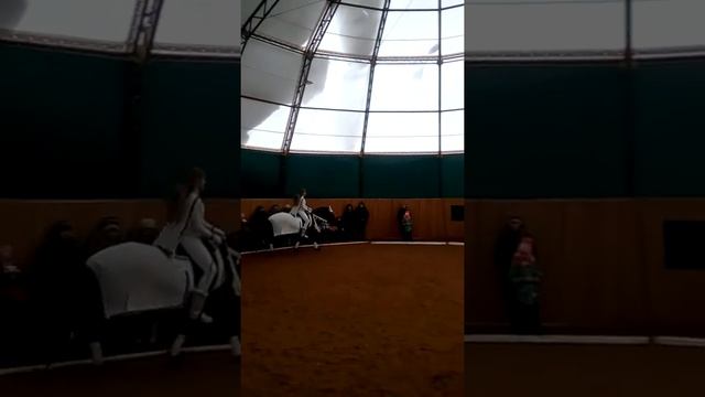 Сказка в конном клубе,,Сокол,,2017 год. смотреть онлайн