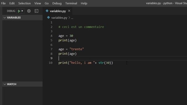 #3 Python - Les variables (Déclaration, Initialisation, Re-déclaration et Suppression) смотреть онлайн