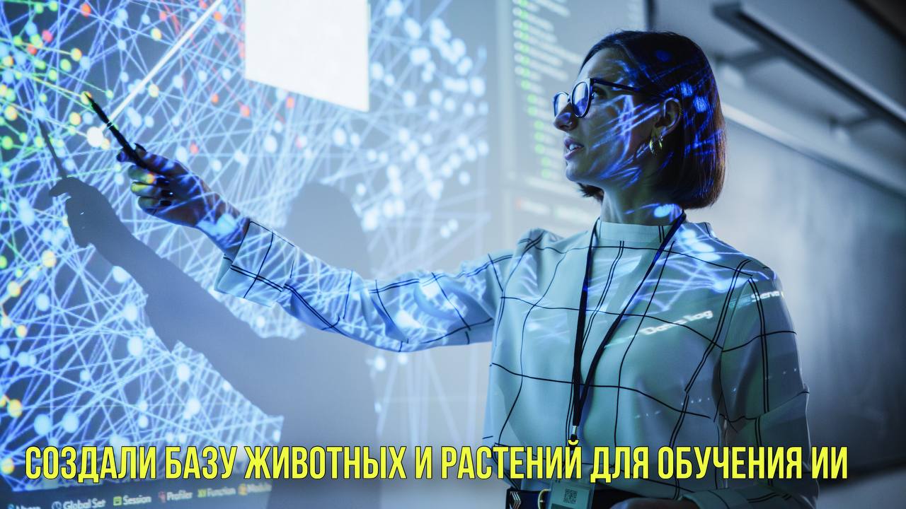 Создали базу животных и растений для обучения ИИ |Фильм «Мадам Паутина» захейтили сразу после релиза смотреть онлайн