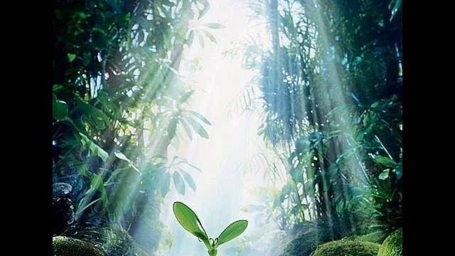 Медитация Благословения Пищи#ИринаМоругий смотреть онлайн