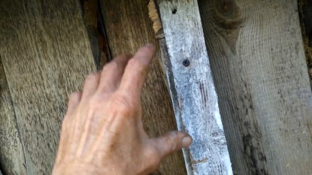 Утепление СТЕНЫ овощехранилища! смотреть онлайн