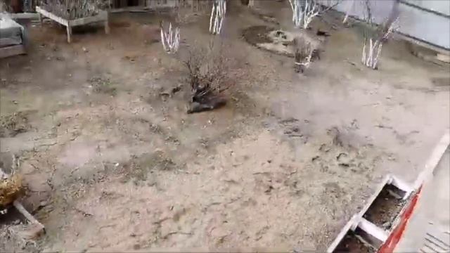 СНТ Юбилейный 2, 21 Дом продажа смотреть онлайн