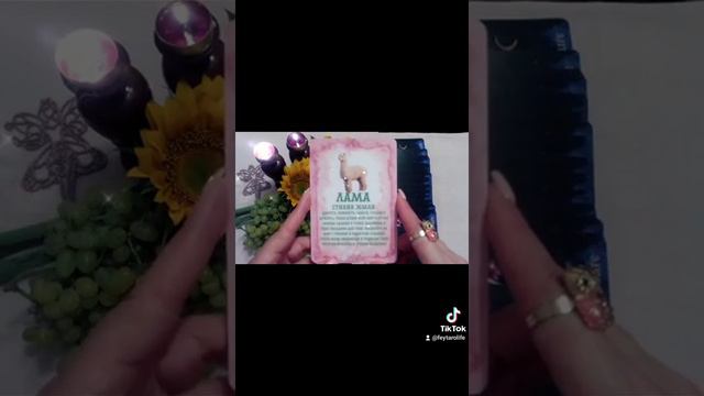 Таро История "Тотемное Животное на неделю для знаков Стихии Огонь!"🖐️💖 смотреть онлайн