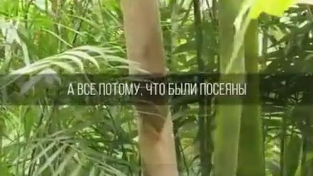 ЗАКОН ЖИЗНИ 🔥 смотреть онлайн