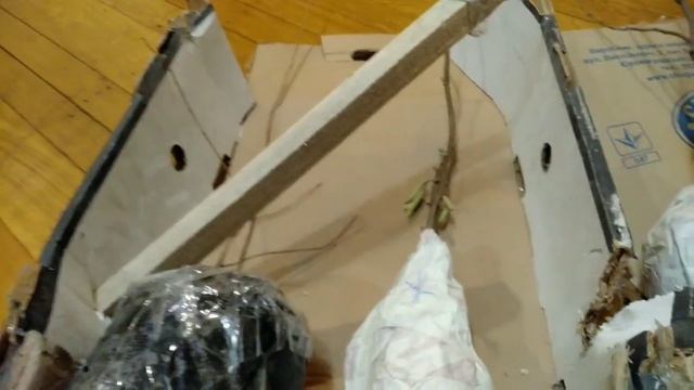 Фундук сорт ЖАДАННЫЙ на собственных корнях.Новогодние подарки. смотреть онлайн