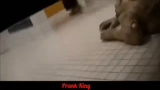 Зомби в туалете Розыгрыш Toilet Zombie Scare Prank смотреть онлайн
