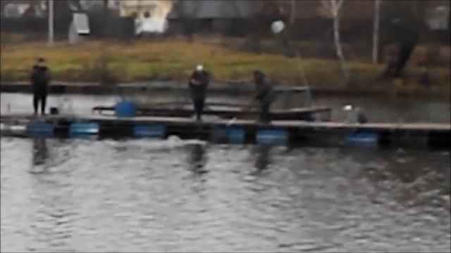 Белавино! смотреть онлайн