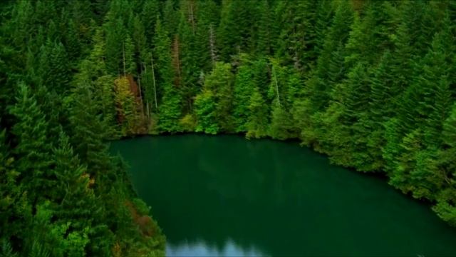 "ЁЛКА" смотреть онлайн