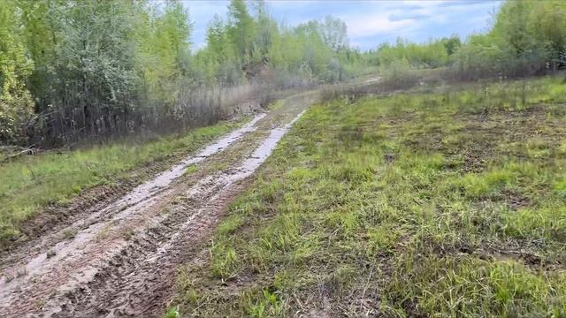 Танки 300 намочили воздуханы. Нивы и УАЗы едут и не уступают. #грязь #оффроад #нива #танк #УАЗ смотреть онлайн