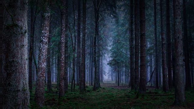 Истории из жизни 📕 Мать-одиночка внутри семьи: как ребенок стал преградой 📘 Жизненные истории смотреть онлайн