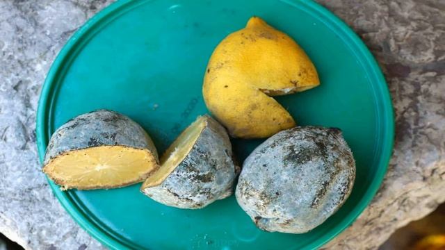 Безопасно ли есть испорченные продукты, если их приготовить? смотреть онлайн