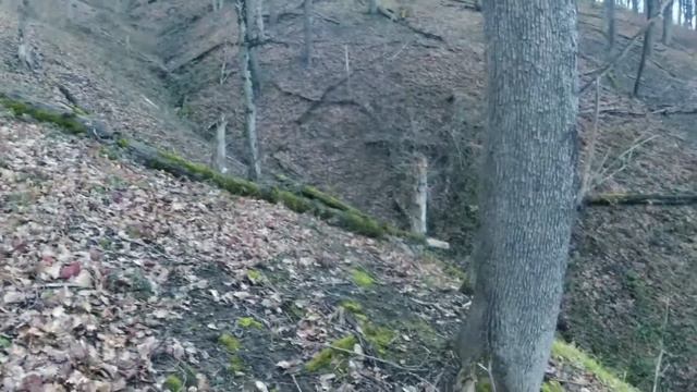 Один в лесу. Под проливным дождем в горах смотреть онлайн