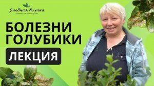 Болезни голубики. Лекция Татьяны Курлович на Международной выставке Сады и ягоды в г. Майкоп