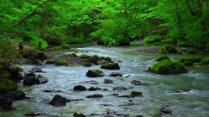 Мягкая и естественная музыка для расслабления и сна