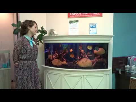 Аквариум с тумбой АДП-330-2А смотреть онлайн