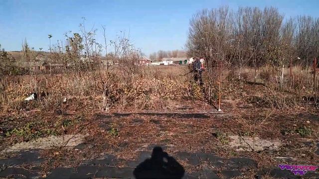 Дача, опрыскиваем деревья! смотреть онлайн