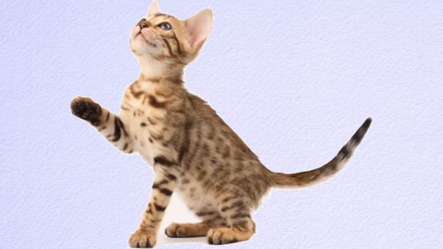 Fan Theory: Quantum Entanglement [Life is Strange] EPISODE 2 SPOILERS! смотреть онлайн