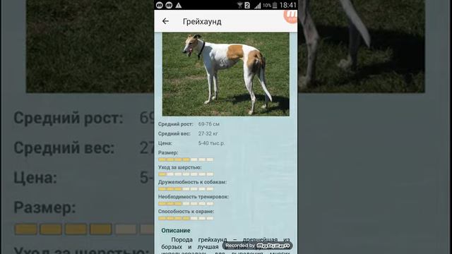 Породы собак которые хочу завести в будующем#2 смотреть онлайн