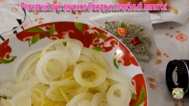 Репчатый лук: вкусное блюдо и лечебный напиток смотреть онлайн