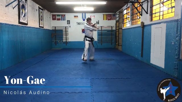 Yon Gae Tul- Patterns- Formas IV Dan- Taekwondo ITF- ESCUELA KOGURYO смотреть онлайн