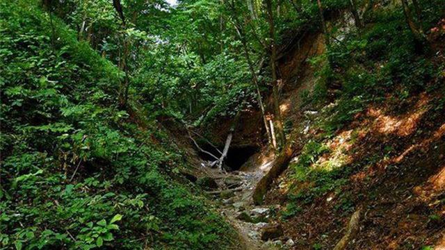 Поиск места для копа, часть 4: ОВРАГИ, Treasure Hunting. (ГДЕ В ОВРАГАХ ИСКАТЬ МОНЕТЫ И КЛАДЫ?) смотреть онлайн