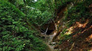 Поиск места для копа, часть 4: ОВРАГИ, Treasure Hunting. (ГДЕ В ОВРАГАХ ИСКАТЬ МОНЕТЫ И КЛАДЫ?)