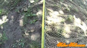 Тайник для ловли певчих птиц - СБОРКА тайника 2.40 Х 3.90