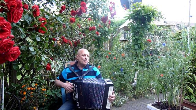 Гармонь. Песня - Любимой женщине. - исполняет Юрий Гафнер смотреть онлайн