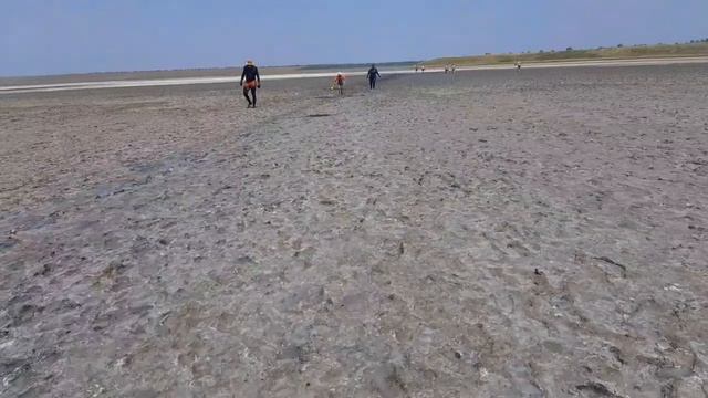 Веселовка 2023.Отдых дикарями.