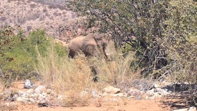 ACTION MOBIL Challenge In Namibia 2017