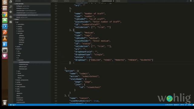 Learn MEAN STACK Using Wohlig Node Framework Creating Schema (Cont.)PART-5 смотреть онлайн