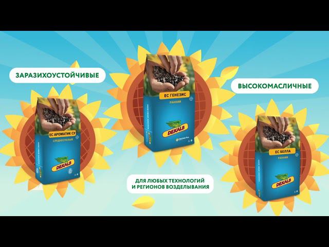 Big text5 смотреть онлайн