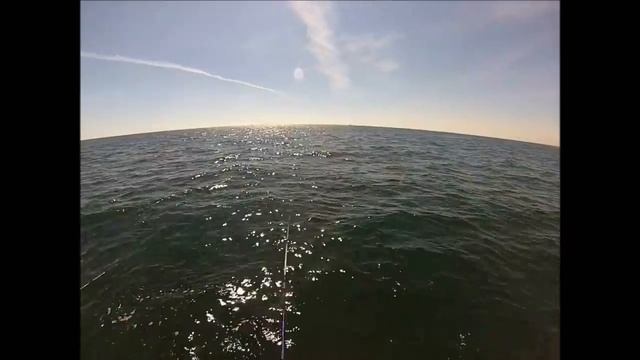 Ocean Fluke/Flounder Fishing with Jigs and Gulp смотреть онлайн