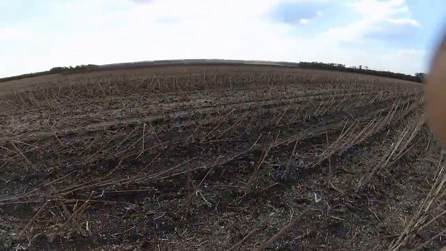 Начало уборки подсолнечника. смотреть онлайн