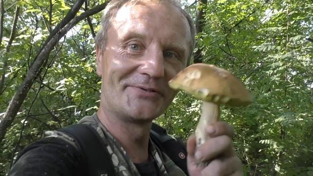 Прогулка за белыми грибами или просто грибной экскурс возле дачи. смотреть онлайн