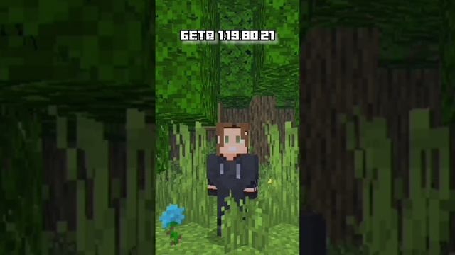 ✔БЕТА 1.19.80.21 [ #майнкрафт ] смотреть онлайн