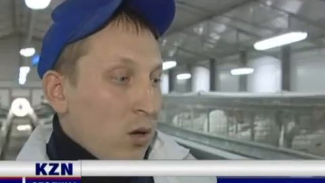 Кролики из Франции. смотреть онлайн