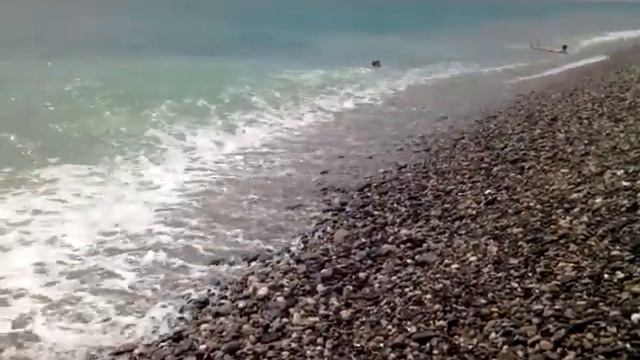 Волны на пляже "Совхоз Россия" смотреть онлайн