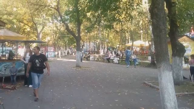 Куда сходить с детьми в Пензе? Парк им.Ульяновых смотреть онлайн