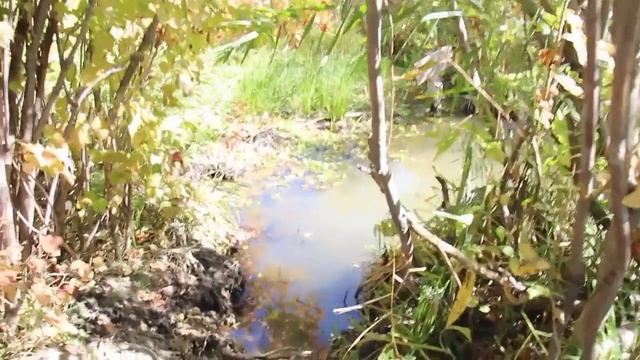 БАЯНБАЙ АТА. Новая поездка. СВЯТЫЕ МЕСТА Казахстана./Как правильно смотреть онлайн