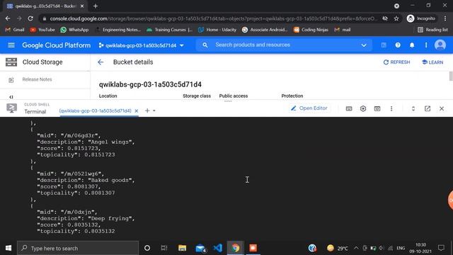Detect Labels, Faces, and Landmarks in Images with the Cloud Vision API | Qwiklabs GSP037 | @Google смотреть онлайн
