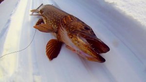 Рыбалка февраль 2018 лучшие моменты.mp4