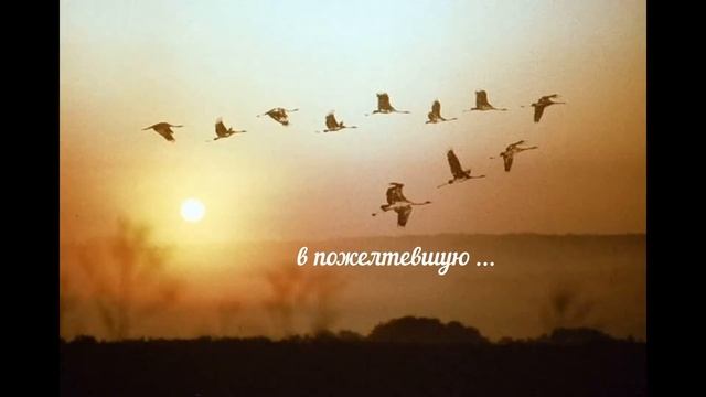 Стихи Поэты смотреть онлайн