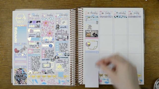 Ad ✿ Boyfriend Voices Over My Plan With Me ✿ Erin Condren ✿ Plannerface ✿ 16th March 2020 смотреть онлайн